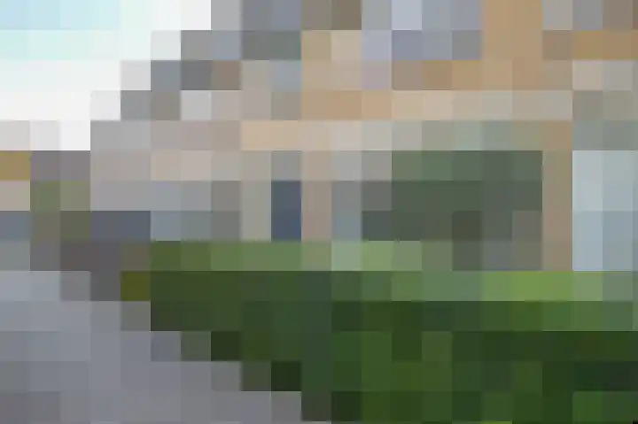 Balsemkruid 62 Rotterdam thumbnail 5