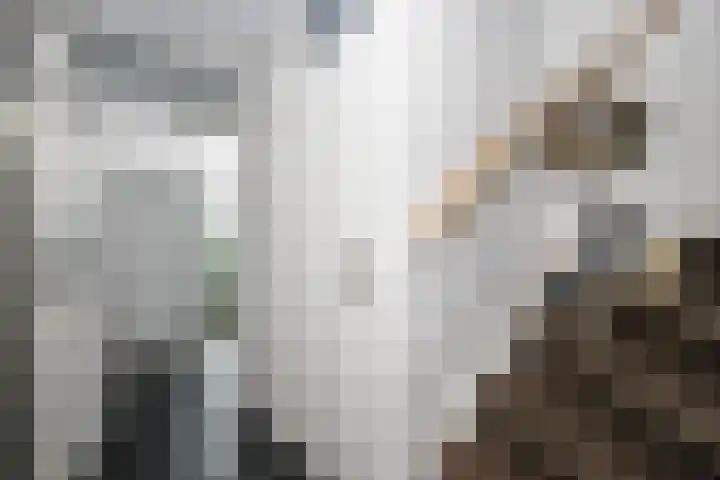 Balsemkruid 62 Rotterdam thumbnail 8