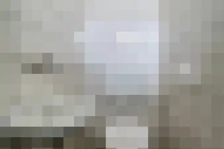 Balsemkruid 95 Rotterdam thumbnail 16