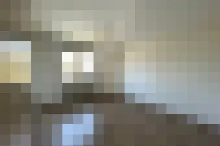 Balsemkruid 95 Rotterdam thumbnail 24