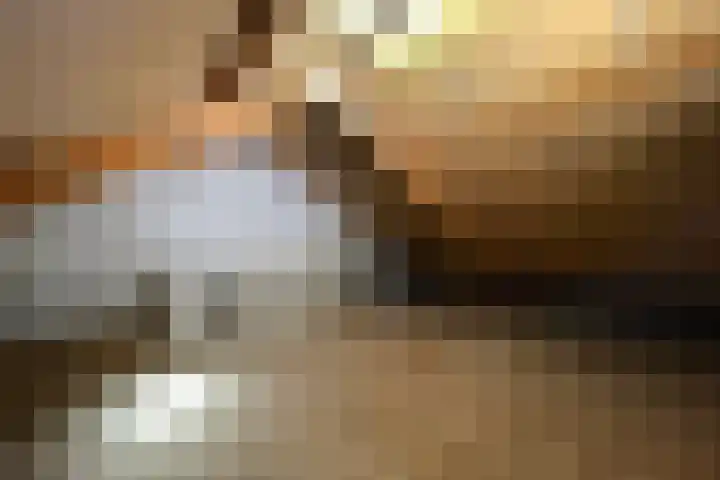 Balsemkruid 95 Rotterdam thumbnail 28