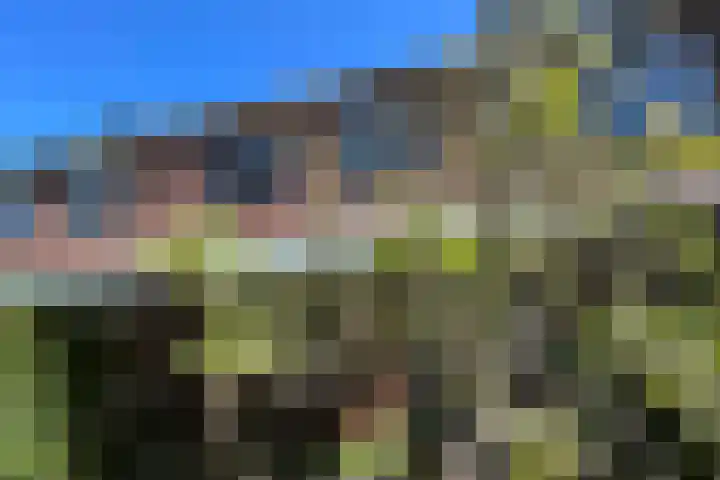 Balsemkruid 95 Rotterdam thumbnail 37