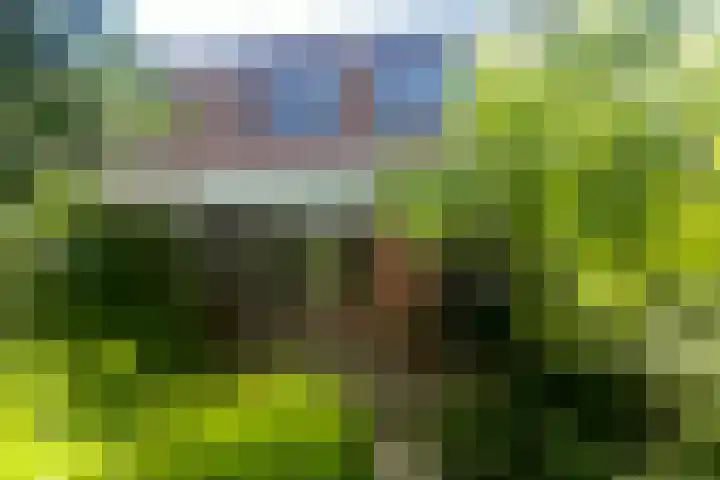 Balsemkruid 95 Rotterdam thumbnail 38