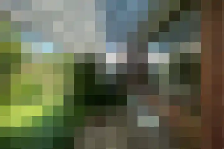 Balsemkruid 95 Rotterdam thumbnail 39