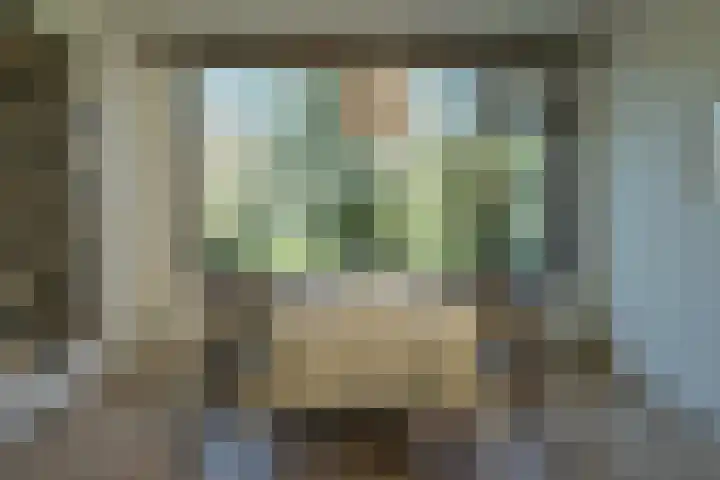 Balsemkruid 95 Rotterdam thumbnail 4