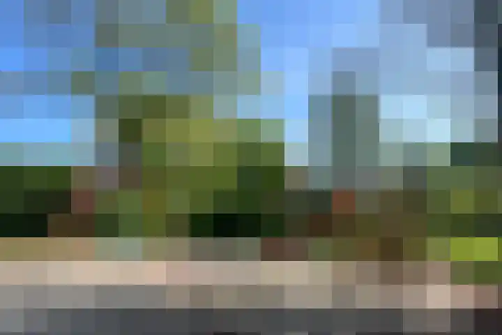 Balsemkruid 95 Rotterdam thumbnail 40
