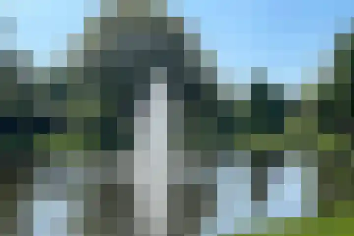 Balsemkruid 95 Rotterdam thumbnail 42