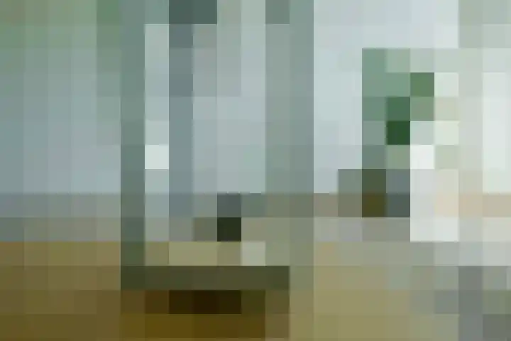 Balsemkruid 95 Rotterdam thumbnail 8
