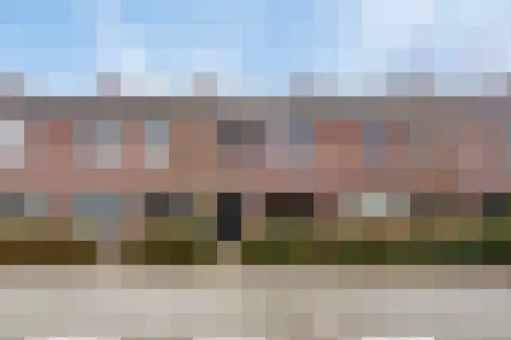 Balsemkruid 97 in Rotterdam