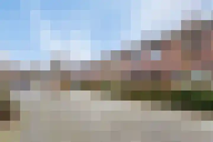 Balsemkruid 97 Rotterdam thumbnail 15