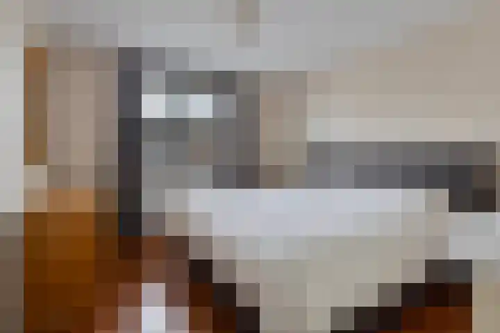Balsemkruid 97 Rotterdam thumbnail 22