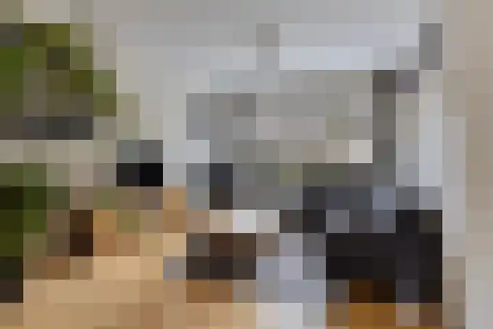 Balsemkruid 97 Rotterdam thumbnail 23
