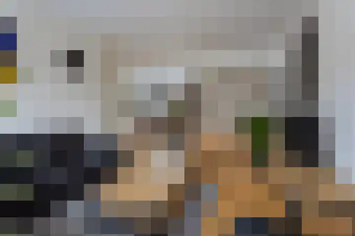 Balsemkruid 97 Rotterdam thumbnail 5