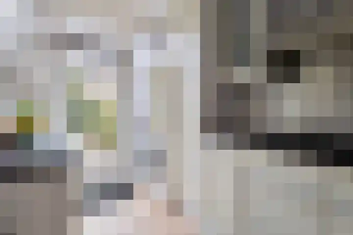 Balsemkruid 97 Rotterdam thumbnail 9