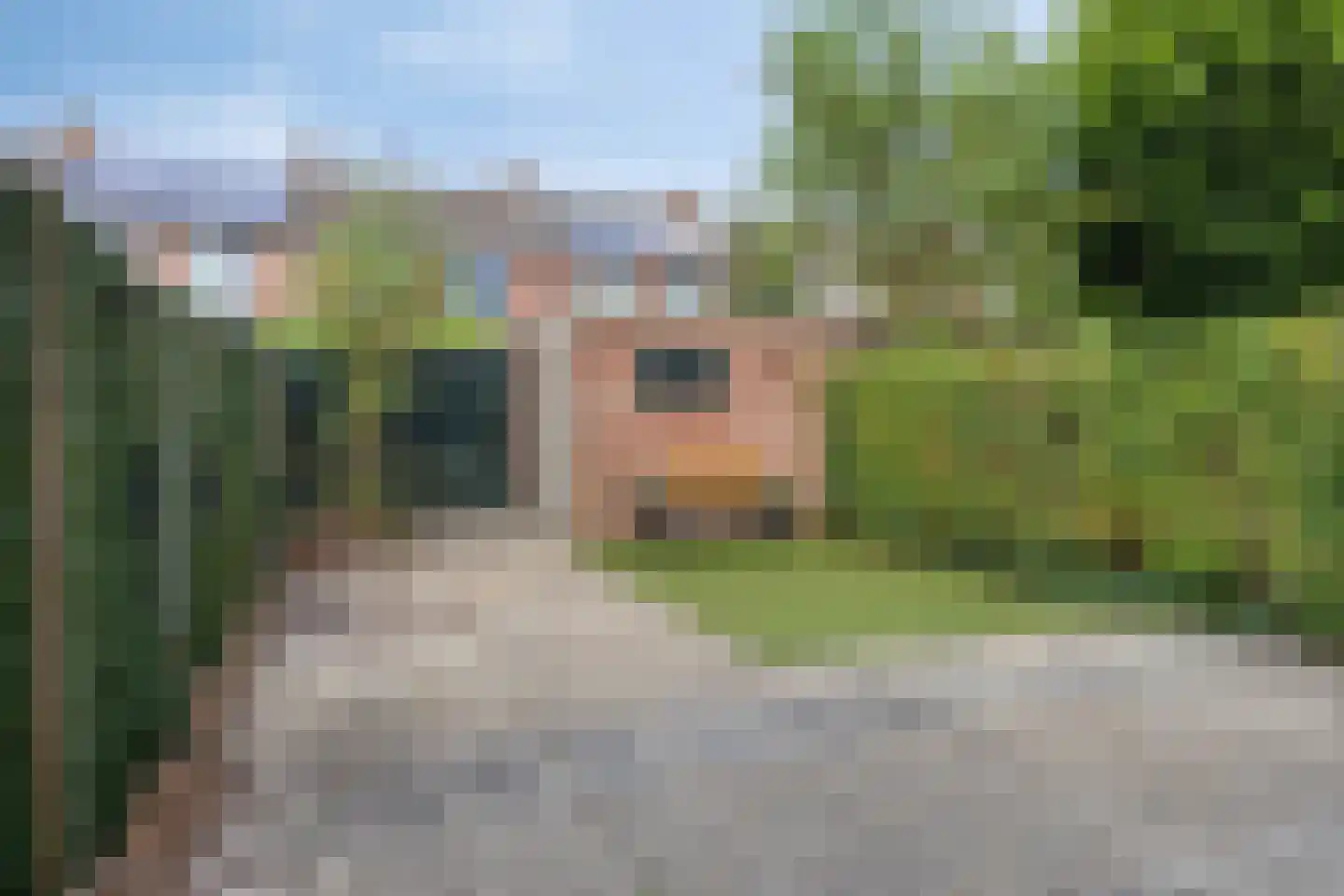 Balsemkruid 99 Rotterdam thumbnail 24