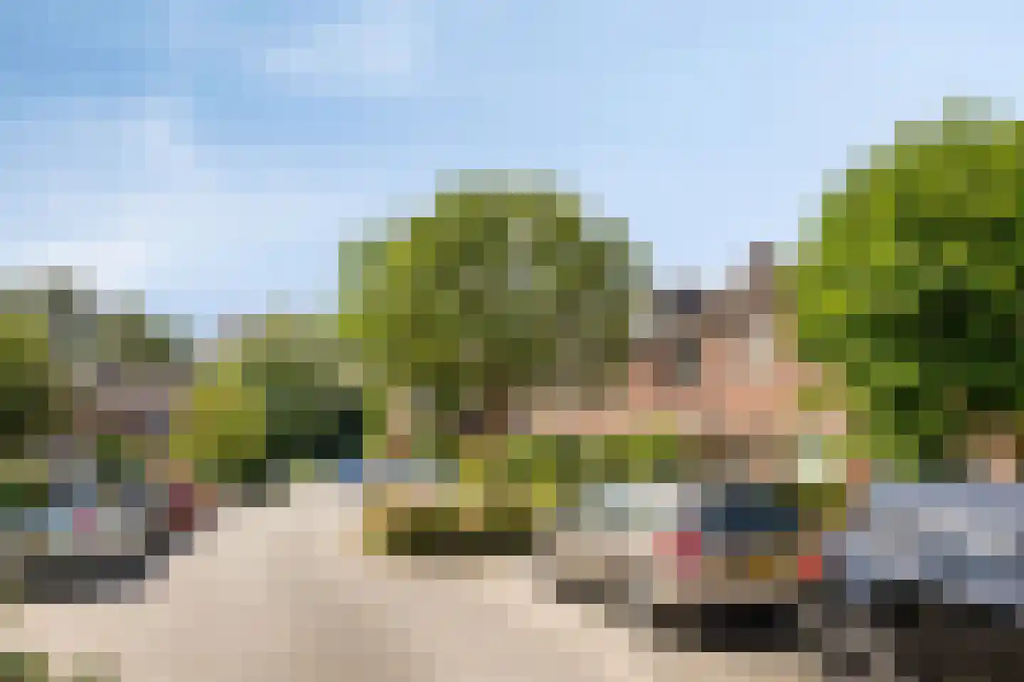 Balsemkruid 99 Rotterdam thumbnail 29