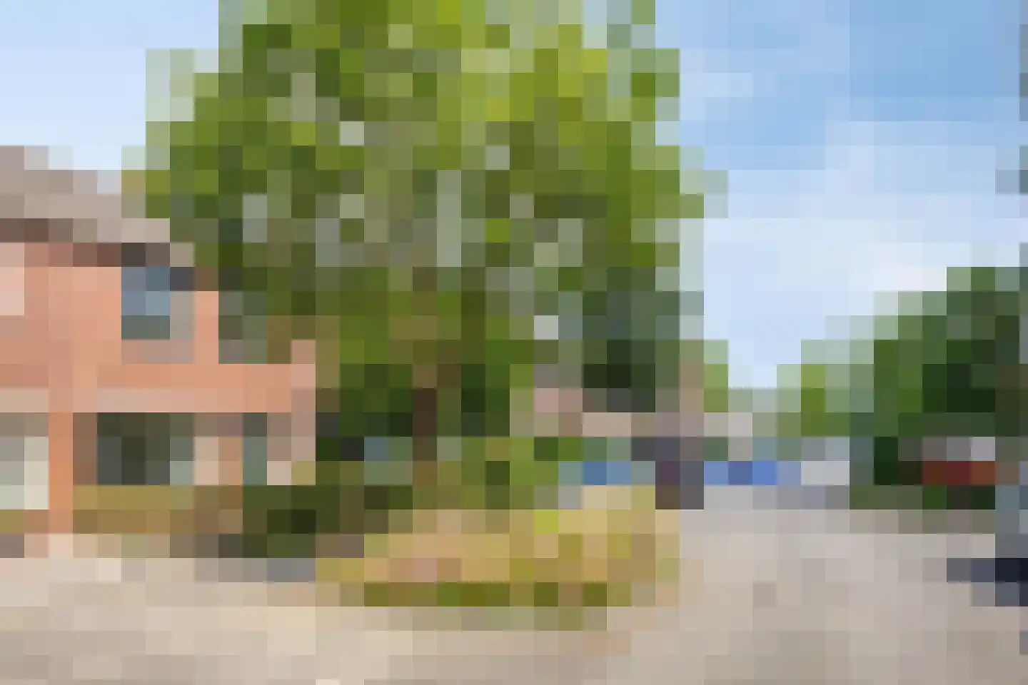 Balsemkruid 99 Rotterdam thumbnail 30