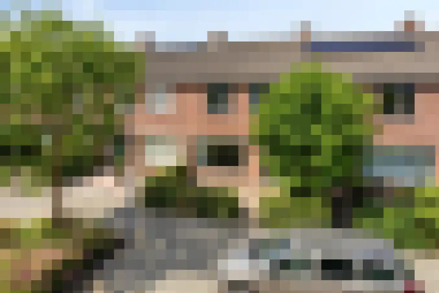 Balsemkruid 99 Rotterdam thumbnail 32
