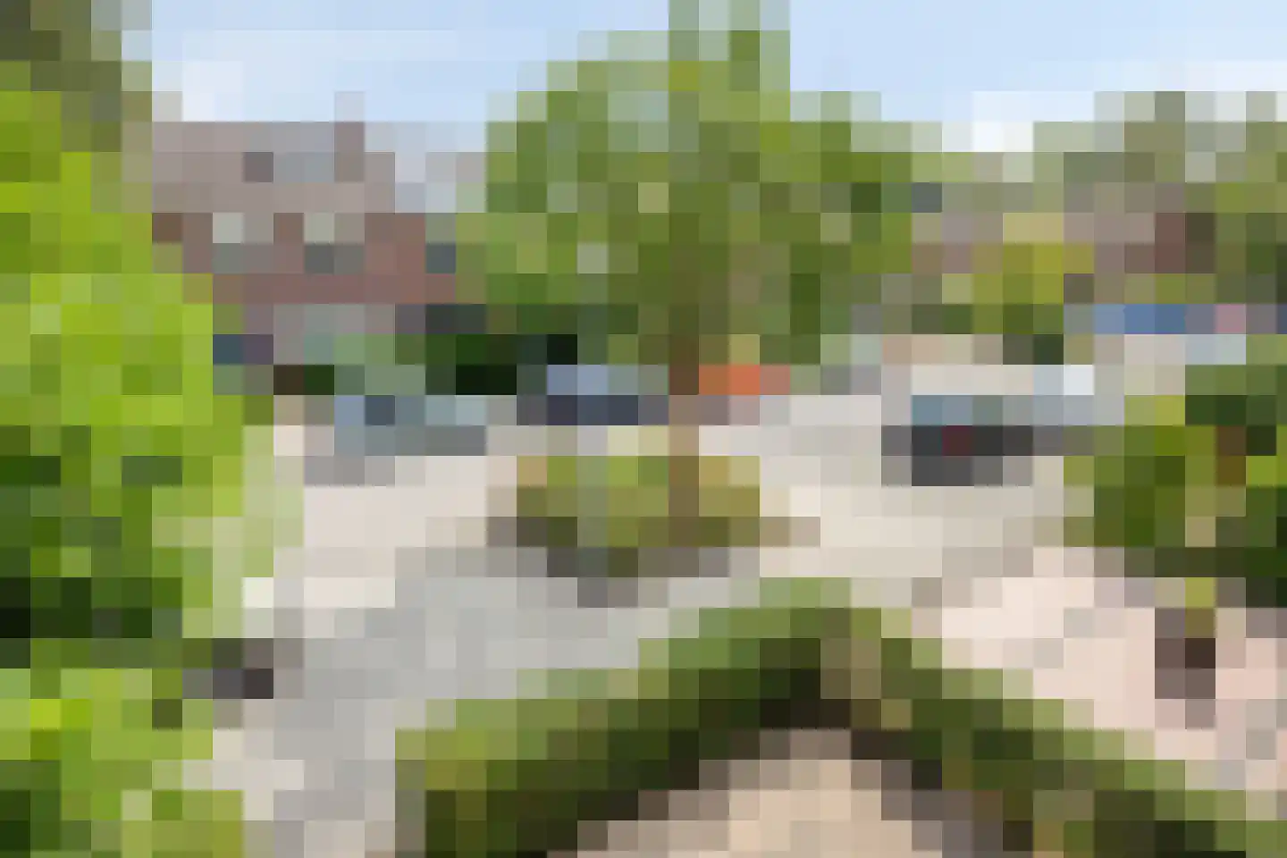 Balsemkruid 99 Rotterdam thumbnail 33