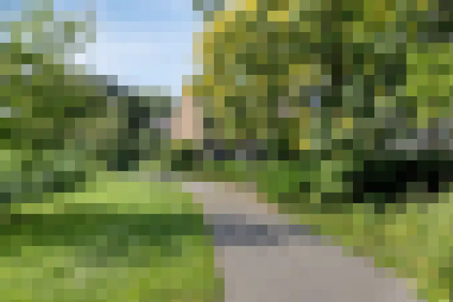 Balsemkruid 99 Rotterdam thumbnail 34