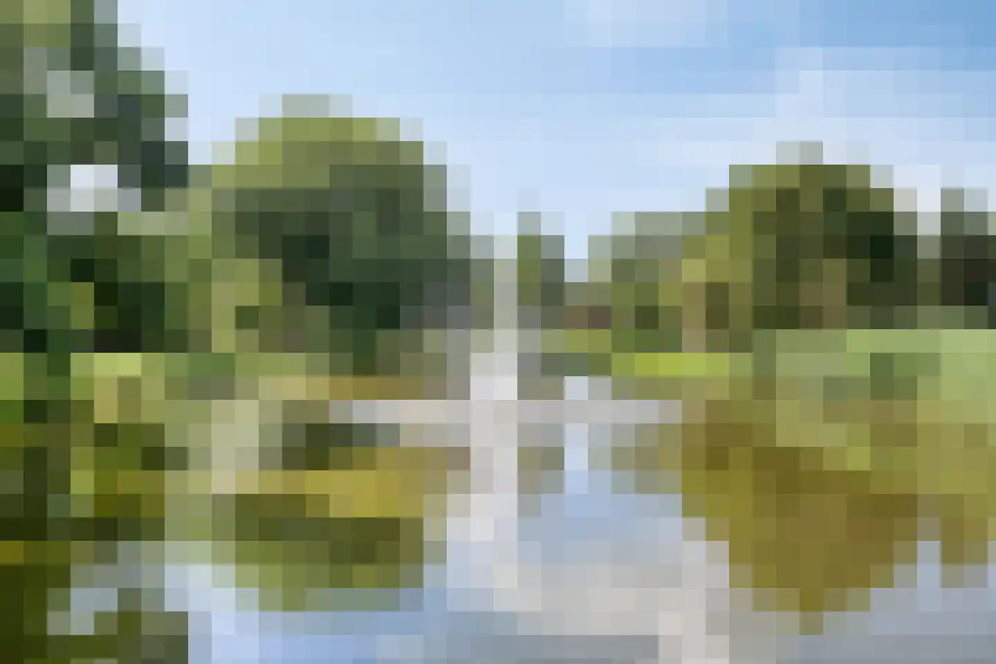 Balsemkruid 99 Rotterdam thumbnail 35