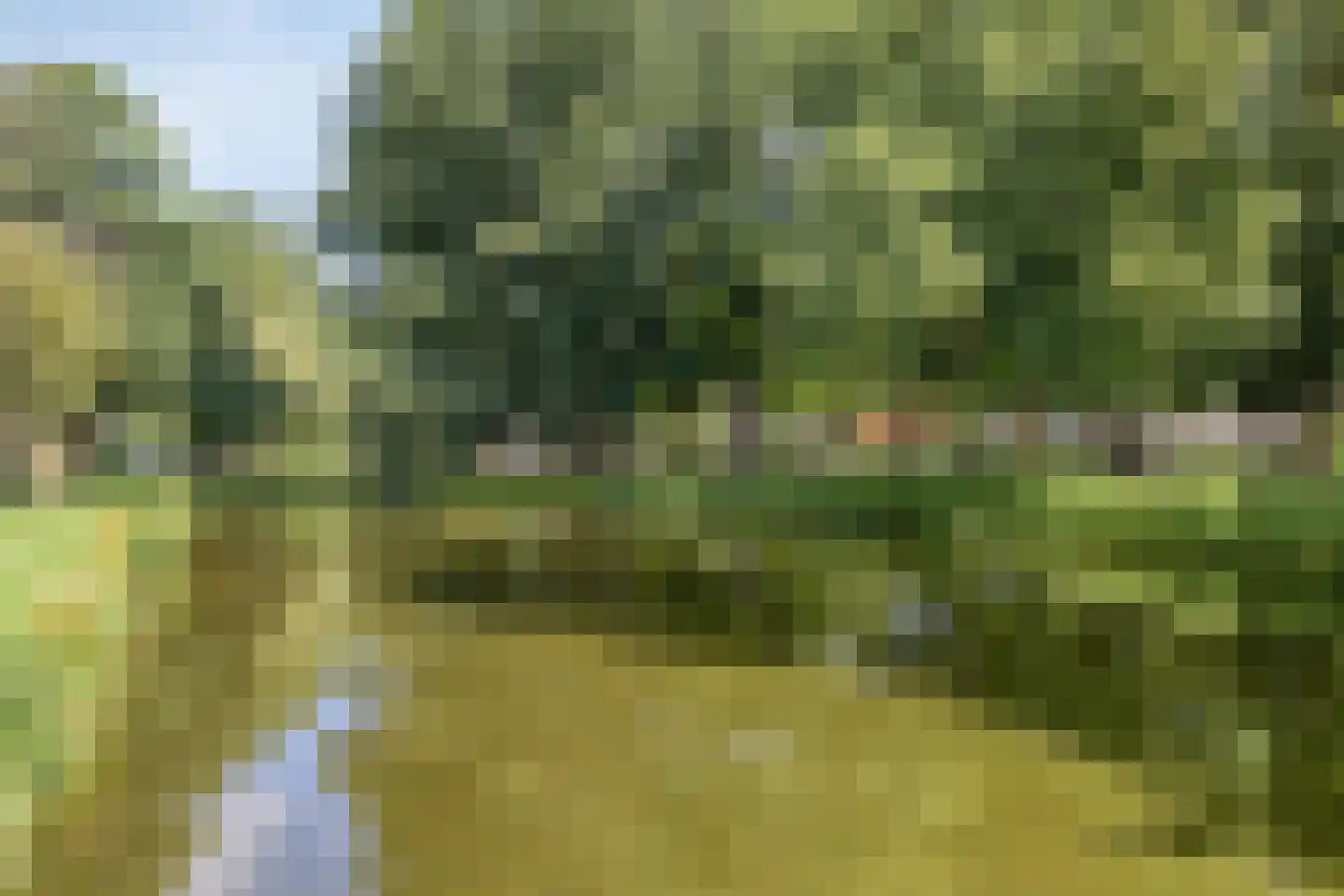 Balsemkruid 99 Rotterdam thumbnail 36