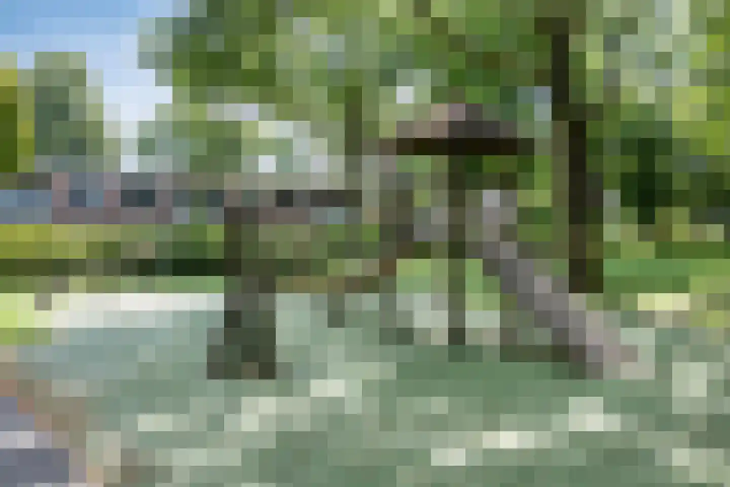 Balsemkruid 99 Rotterdam thumbnail 38