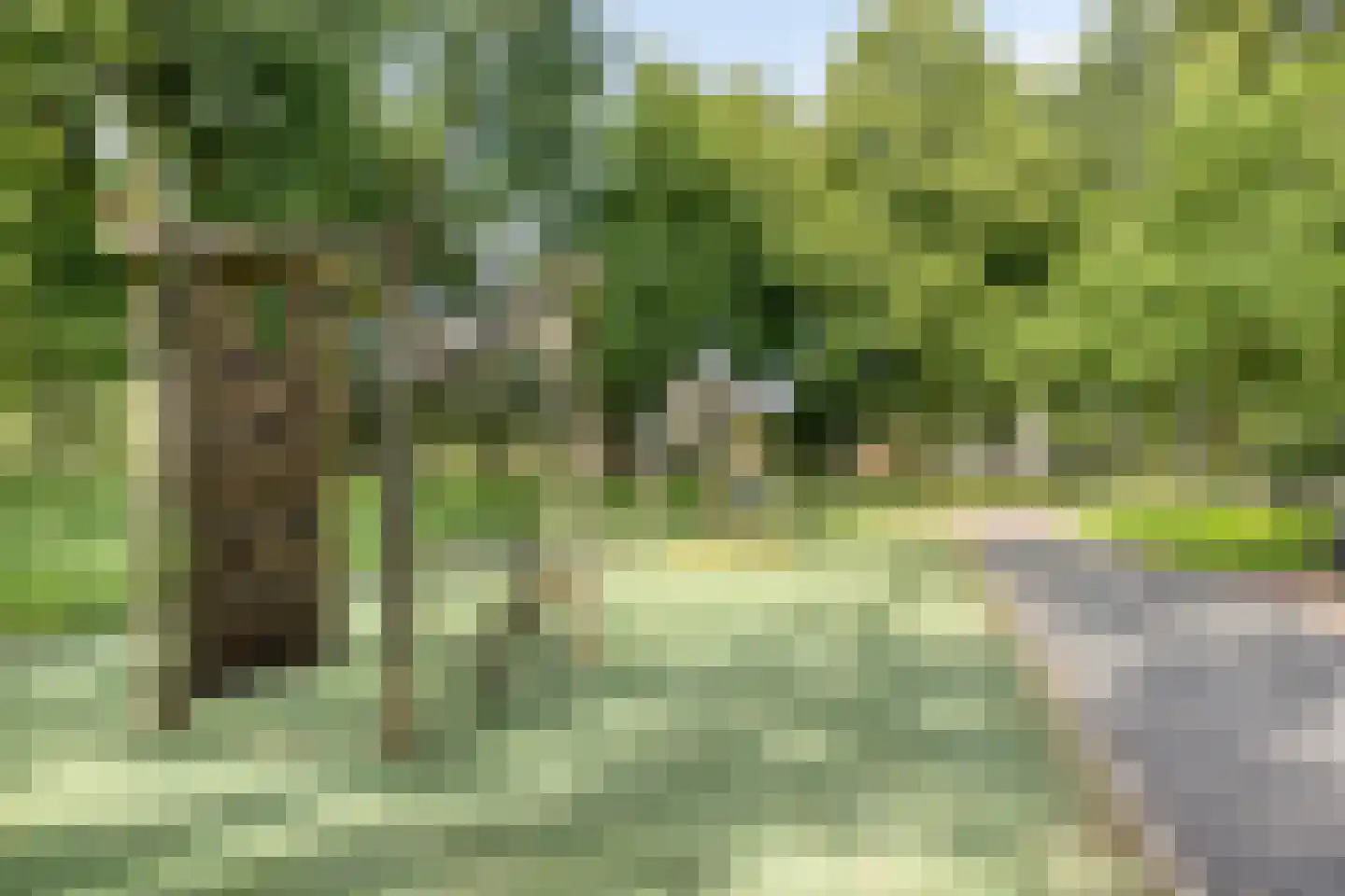 Balsemkruid 99 Rotterdam thumbnail 39