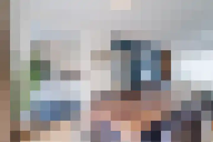 Baltesakker 12 Eindhoven thumbnail 13