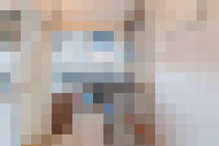 Baltesakker 12 Eindhoven thumbnail 25