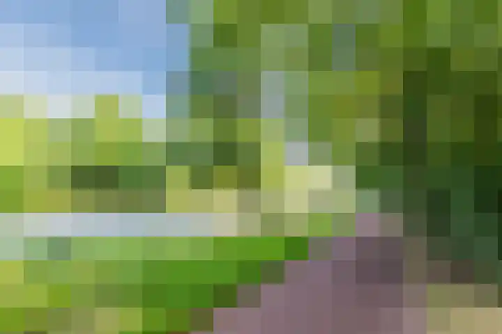 Baltesakker 12 Eindhoven thumbnail 37