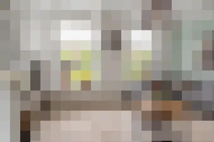 Balthasar Bekkerstrjitte 10 Mitselwier thumbnail 11
