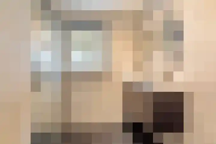 Balthasar Bekkerstrjitte 10 Mitselwier thumbnail 21