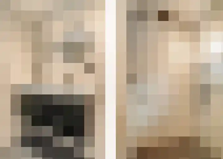 Balthasar Bekkerstrjitte 10 Mitselwier thumbnail 22