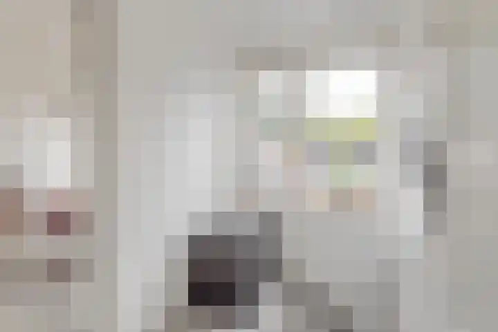 Balthasar Bekkerstrjitte 10 Mitselwier thumbnail 23