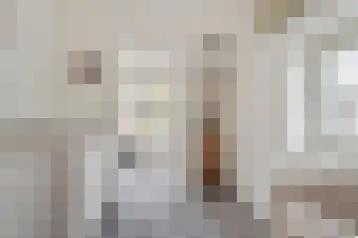 Balthasar Bekkerstrjitte 10 Mitselwier thumbnail 25