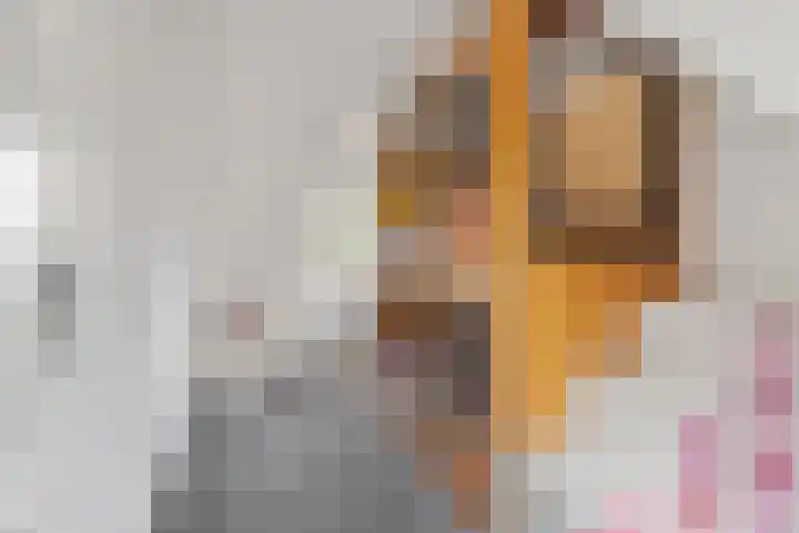 Balthasar Bekkerstrjitte 10 Mitselwier thumbnail 26