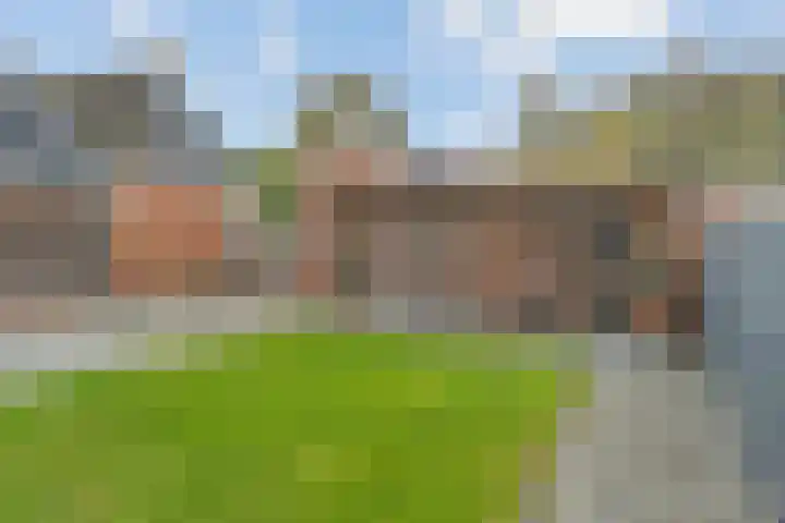Balthasar Bekkerstrjitte 10 Mitselwier thumbnail 32