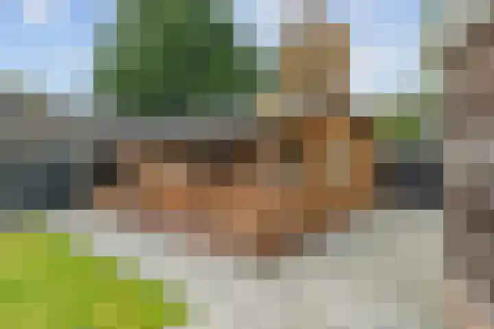Balthasar Bekkerstrjitte 10 Mitselwier thumbnail 33