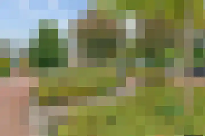 Balthasar Bekkerstrjitte 10 Mitselwier thumbnail 36
