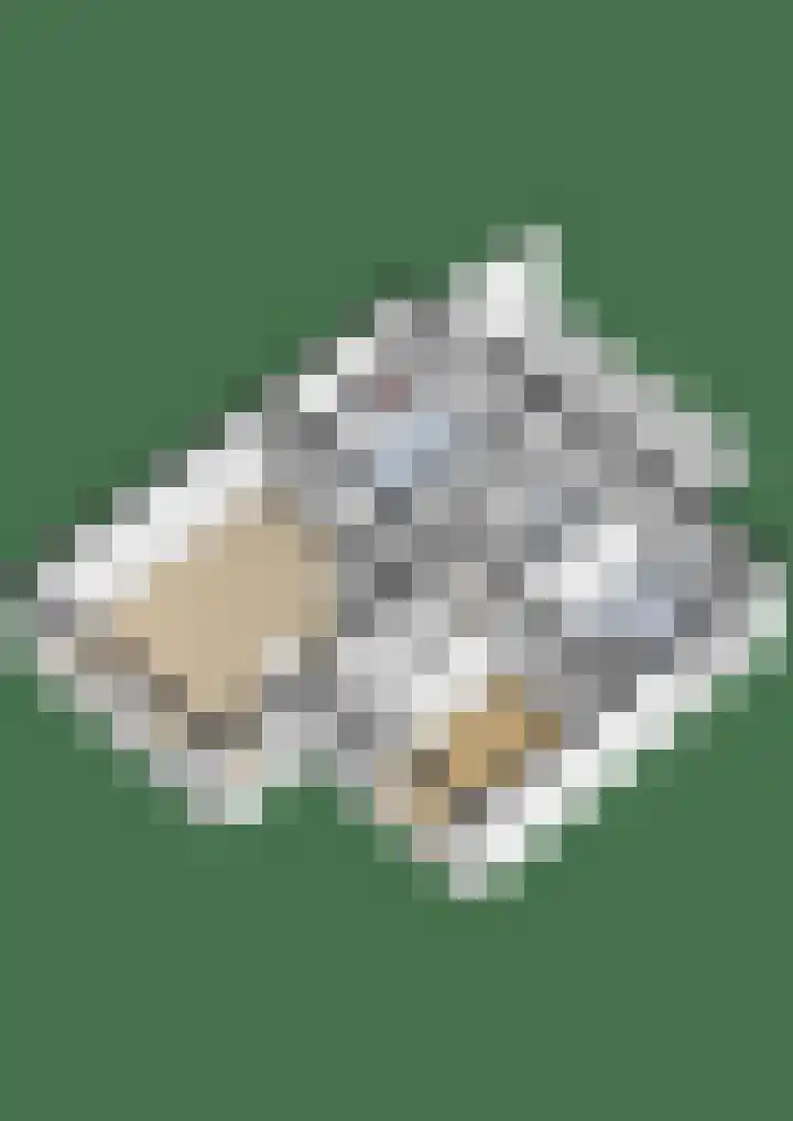 Balthasar Bekkerstrjitte 10 Mitselwier thumbnail 42
