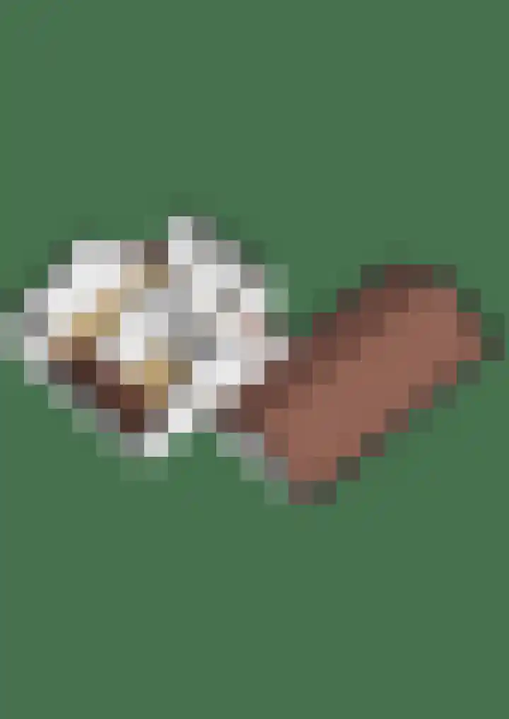 Balthasar Bekkerstrjitte 10 Mitselwier thumbnail 43