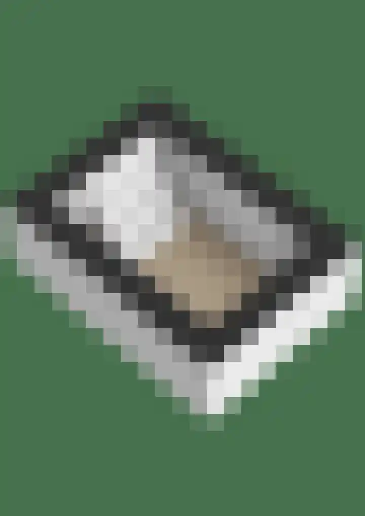 Balthasar Bekkerstrjitte 10 Mitselwier thumbnail 44