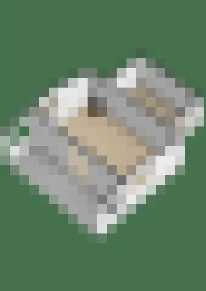 Balthasar Bekkerstrjitte 10 Mitselwier thumbnail 45