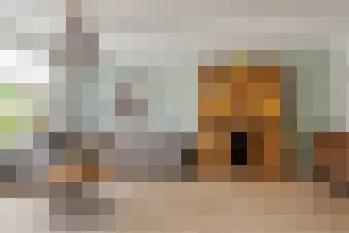 Balthasar Bekkerstrjitte 10 Mitselwier thumbnail 9