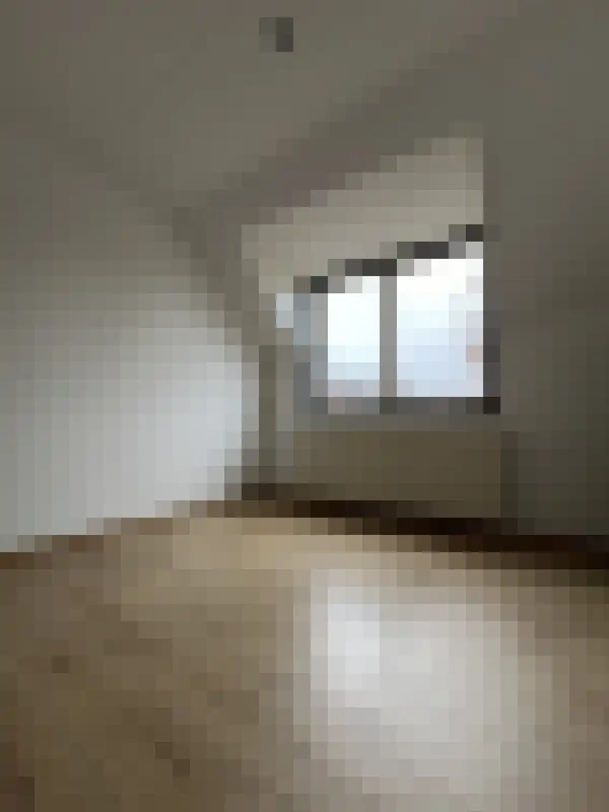 Balthasar Coymansstraat 10 Deurne thumbnail 5