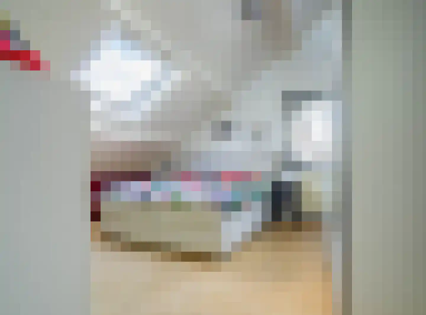 Balthasar Coymansstraat 22 Deurne thumbnail 30