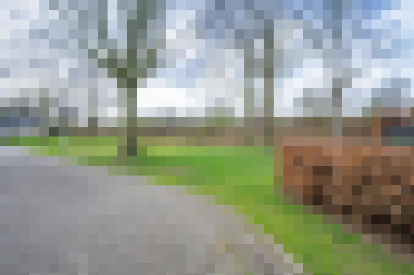 Balthasar Coymansstraat 22 Deurne thumbnail 58