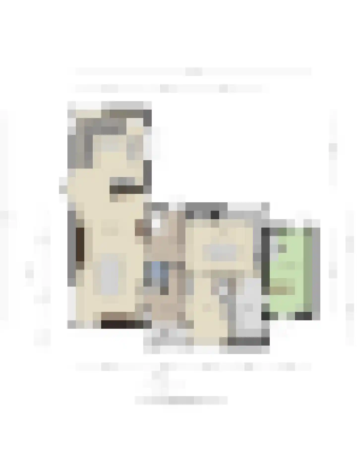 Balthasar Coymansstraat 22 Deurne thumbnail 59