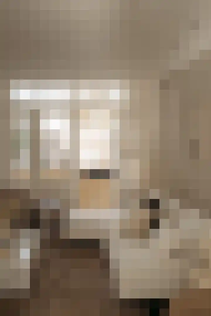 Balthasar Floriszstraat 35 3 Amsterdam thumbnail 18